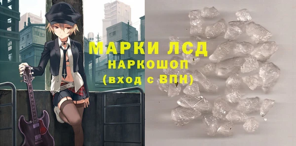 spice Богданович